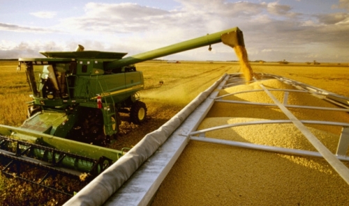 Industrias ofrecen $us 320 por tonelada: Soyeros se ven incentivados por buen precio del grano