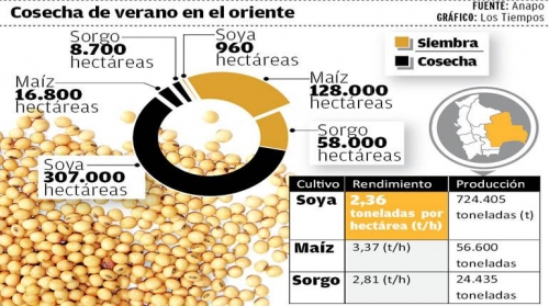 Avanza la cosecha de soya en Santa Cruz y el precio incrementa en 10%